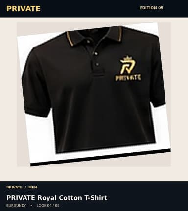 PRIVATE Royal Cotton T-Shirt, view 4
