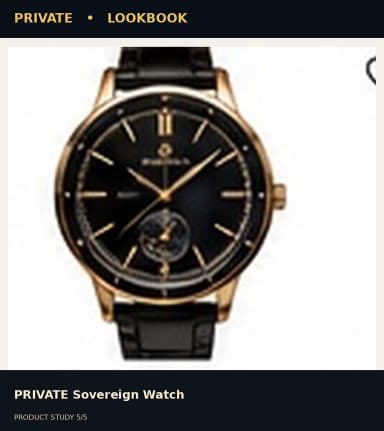 PRIVATE Sovereign Watch, view 5
