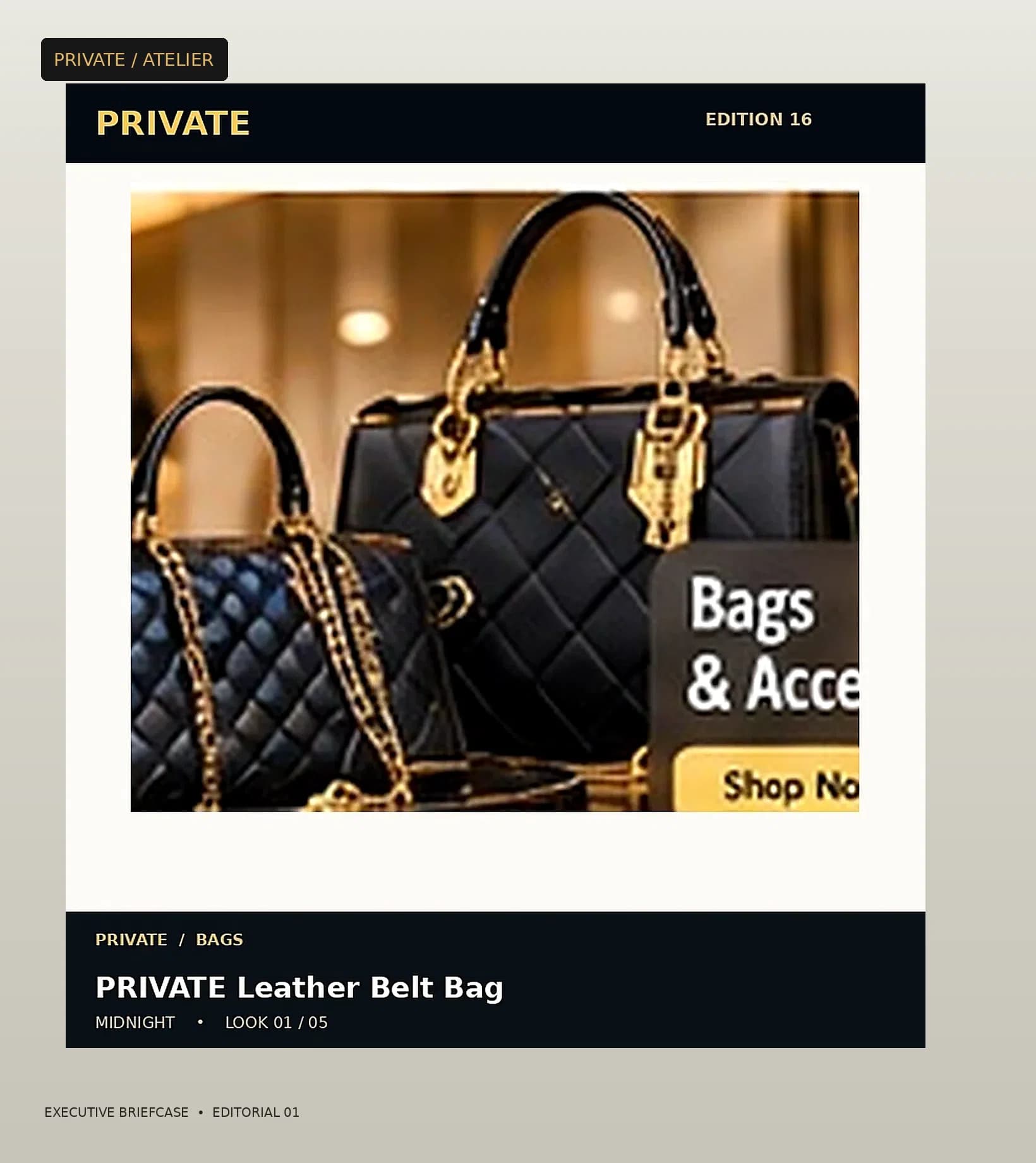 PRIVATE Executive Briefcase — editorial view 1